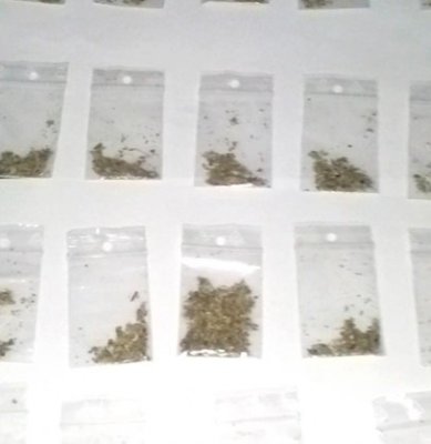 Traficantul de droguri prins în Mamaia contestă arestarea preventivă